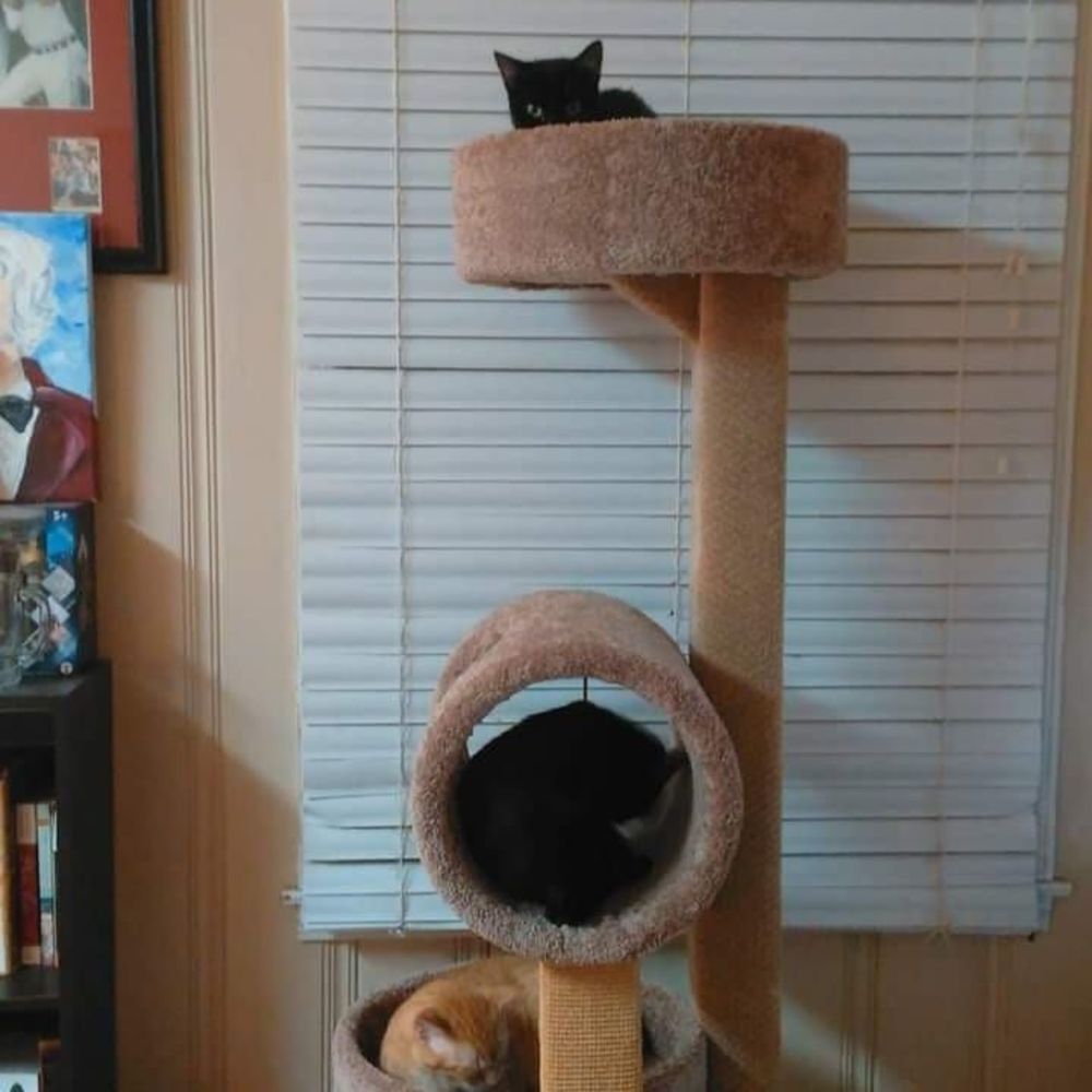 Meet your Posher, Laura